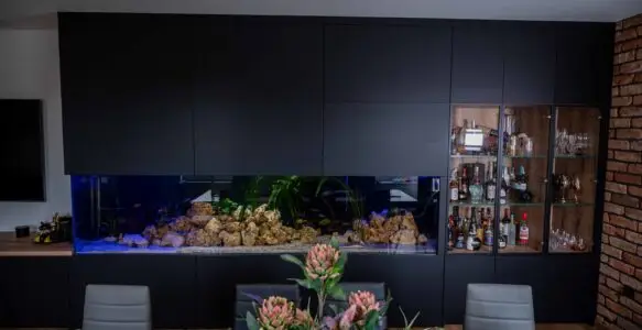 Akwarium w zabudowie