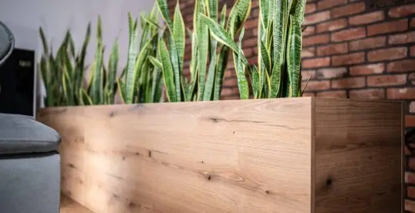 Przestrzeń na zieleń