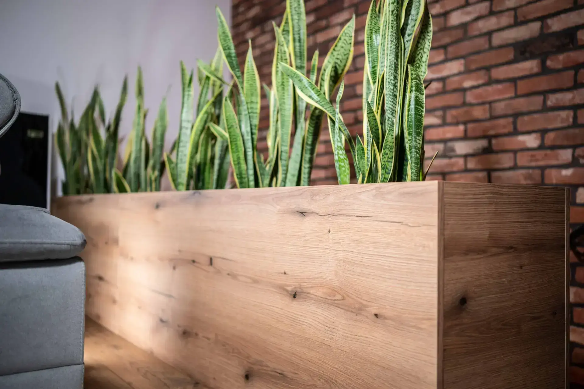 Przestrzeń na zieleń